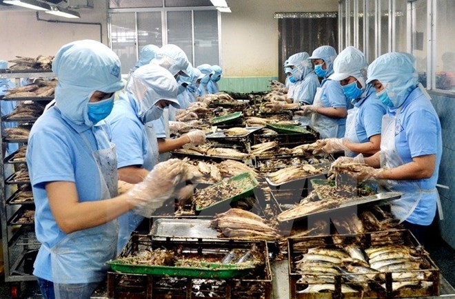 附圖：2018年前兩月越南水產(chǎn)品出口額同比增長近30%。（圖片來源：越通社）